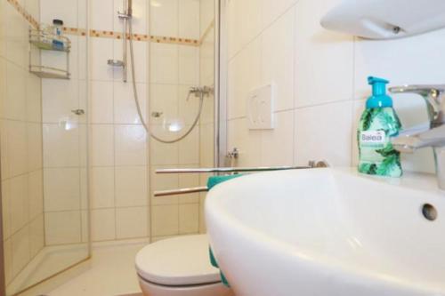 a bathroom with a toilet and a sink and a shower at Ferienwohnung Rose auf Hof Stallegg in Löffingen