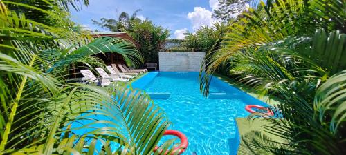 a pool with palm trees and chairs in a yard at Ballena Rey Hotel in Uvita