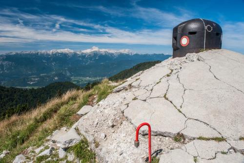 a person standing on top of a mountain at Brunarica in Bohinj