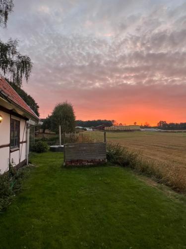 a bench sitting in the grass next to a house at Half-timbered house in Österlen in Sjöbo