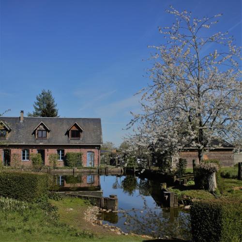 a house next to a river in a yard at Gite Caillebourg Normandie in Saint-Martin-aux-Arbres