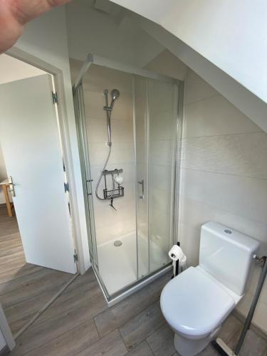 a bathroom with a toilet and a shower at Appartement L'Eden de la Guyonnière 2 chambres in Ruaudin