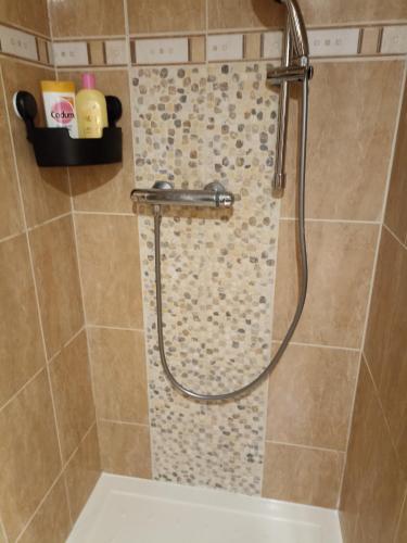 a shower with a shower head in a bathroom at L'océane in Saint-Maurice-de-Beynost
