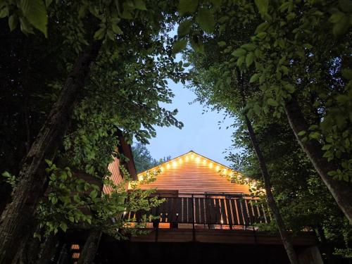 a house in the woods with lights on it at WoodLand Tskhvarichamia in Tsʼkhvarichamia