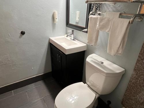 a bathroom with a white toilet and a sink at Quality Inn Grand Rapids Near Downtown in Grand Rapids