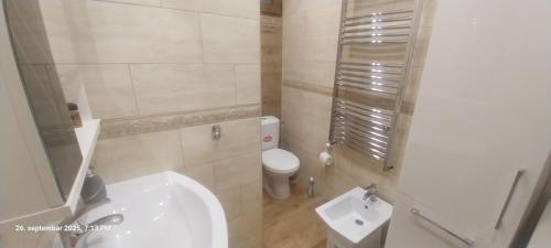 a white bathroom with a toilet and a sink at Vila na Rtnju in Rtanj