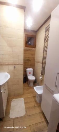 a bathroom with a toilet and a sink at Vila na Rtnju in Rtanj