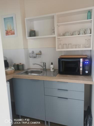 a kitchen counter with a microwave and a sink at Nîmes les pins studio parking privé extérieur in Nîmes