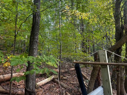a wooden swing in a forest with trees at Luxury Cozy Glamping Cabin Retreat Natural Hide Out in Sugar Hill