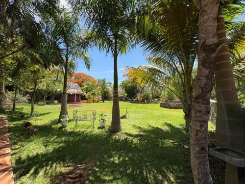 a park with palm trees and a bench in the grass at Quinta Flor de Mayo 