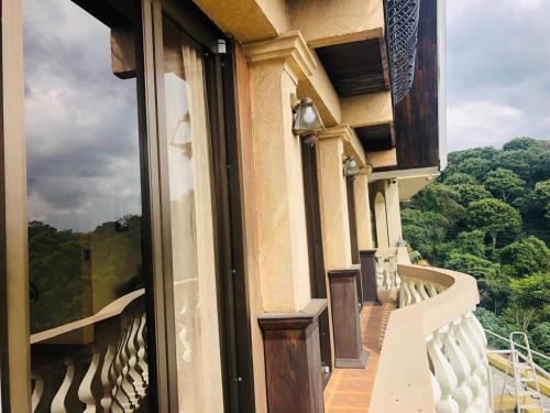 a balcony with a view of the forest at Mayday Mountain View in Alajuela City