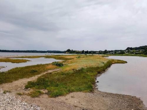 an island in the middle of a body of water at 4 star holiday home in Rønde-By Traum in Rønde