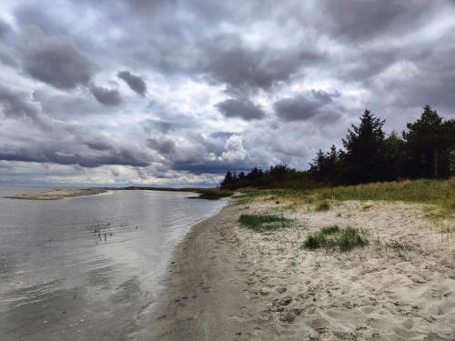 a sandy beach with trees and a cloudy sky at 4 person holiday home in Hals-By Traum in Hals