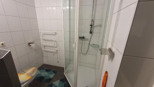 a bathroom with a glass shower with a toilet at Entspanntes Wohnen Deibow in Deibow