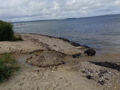 a sandy beach with a large body of water at 10 person holiday home in Roslev-By Traum in Roslev