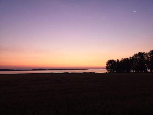 a sunset over a field with trees and water at 6 person holiday home in Marstal in Marstal
