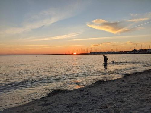 a person standing in the water at the beach at 4 person holiday home in Karrebæksminde in Karrebæksminde