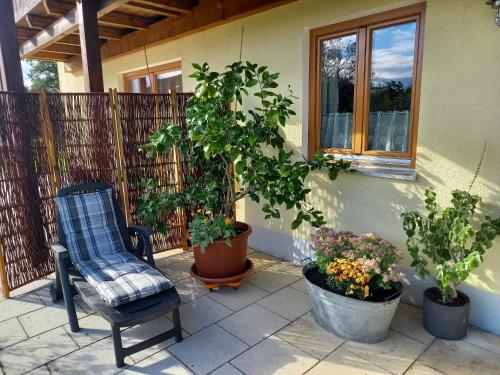 a chair and potted plants on a patio at Idyllic apartment in Bavaria, near Munich, Freising, Erding 