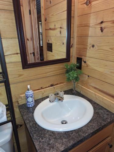 a bathroom with a sink and a mirror at Cozy Cabin near Dove Ridge Winery and Lake Weatherford in Azle