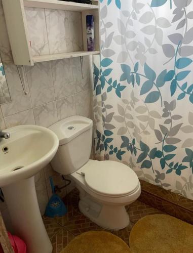 a bathroom with a white toilet and a sink at Cabañas Rapanui keka in Hanga Roa