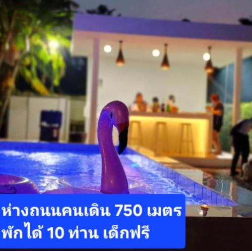 a purple duck sitting in a swimming pool at Vamin Poolvilla Chiangkhan Loei วามินทร์พูลวิลล่า เชียงคาน เลย - วามินทร์ รีสอร์ท in Chiang Khan