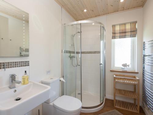 a bathroom with a shower and a toilet and a sink at Broad Reach - 28121 in Fritton Norfolk