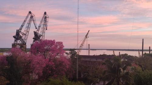 a group of cranes on the water with pink trees at Costanera in Corrientes