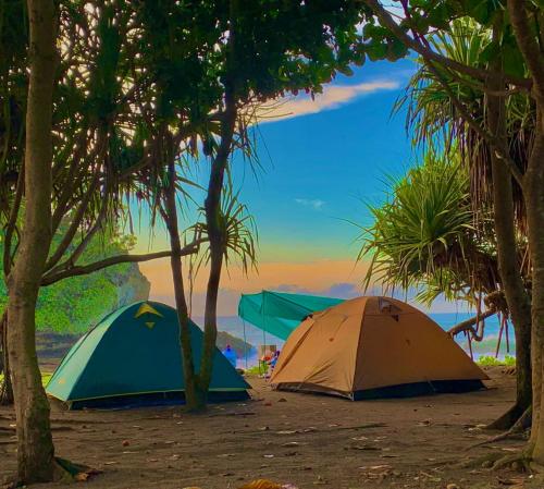 zwei Zelte am Strand unter Bäumen in der Unterkunft Sewa Tenda Pantai Madasari in Madasari