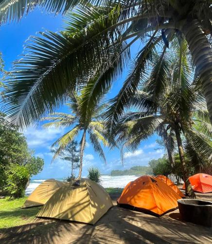 three tents on the beach under palm trees at Camping Keluarga pantai madasari in Madasari