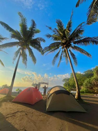 two tents on the beach with palm trees at Camping Keluarga pantai madasari in Madasari