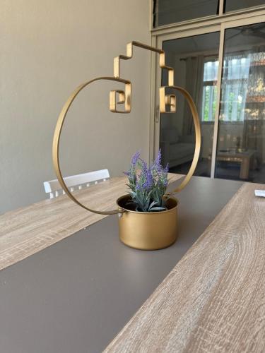 a light on a counter with a potted plant on it at Appartement rénové équipé à 200m de la plage in Kourou