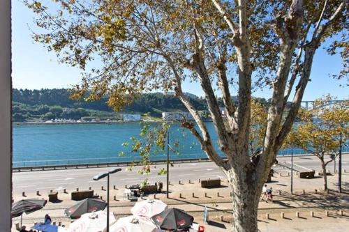 a tree in front of a beach with umbrellas at Porto Douro River Guest House in Porto
