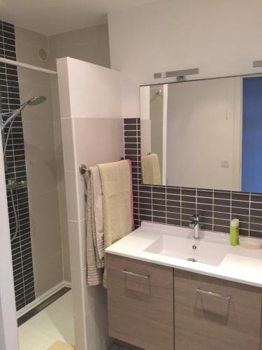 une salle de bain avec un lavabo et un miroir dans l'établissement Appartement Front de Mer, à Canet