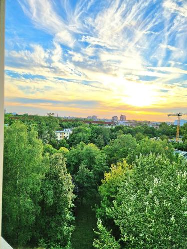 Gallery image of Spacious Cozy Trendy Room in Green Area 12 min to Downtown in Berlin