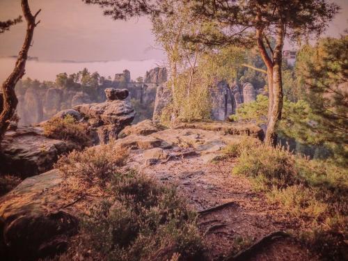 a painting of a mountain with trees and rocks at Hotel Wehlener Hof in Stadt Wehlen