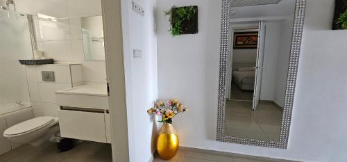 エイラットにあるLuxury apartment with jacuzziのバスルーム(鏡、花瓶付)