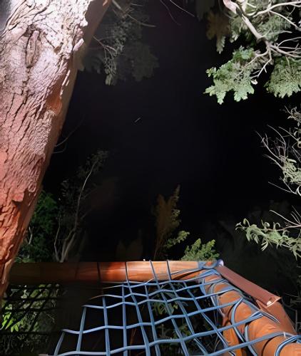 a blue grate on top of a tree at Espaço Gaia in Santana do Riacho