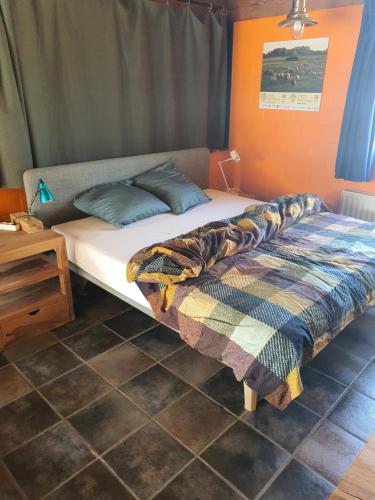 a bed with a blanket on it in a room at Vakantie verblijf in Bredene