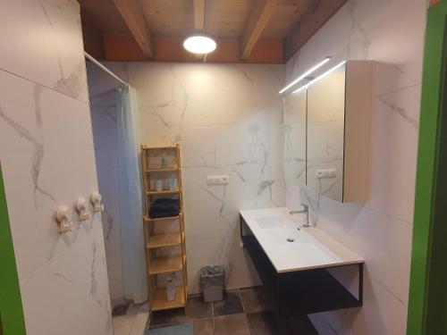 a bathroom with a sink and a mirror at Vakantie verblijf in Bredene