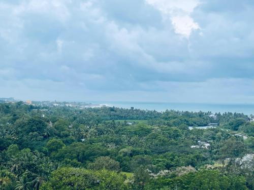 une vue aérienne d'une zone boisée avec des arbres dans l'établissement Galle Fort View Luxury Apartment, à Galle