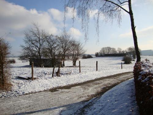 Spacious Villa with Charm v zimě