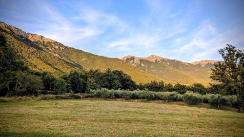a field with trees and mountains in the background at B&B Casal Cominium in San Donato Val di Comino