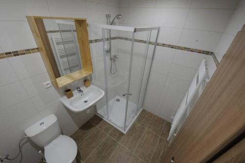 a bathroom with a shower and a toilet and a sink at Apartmány na kolonádě in Lednice