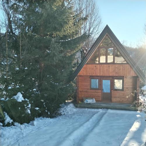 a log cabin in the snow with trees at Brvnara Iva in Kolašin