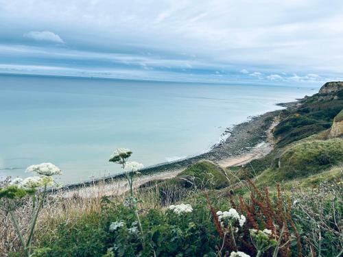 a view of the ocean from a hill with flowers at Gite la maison du pêcheur in Commes