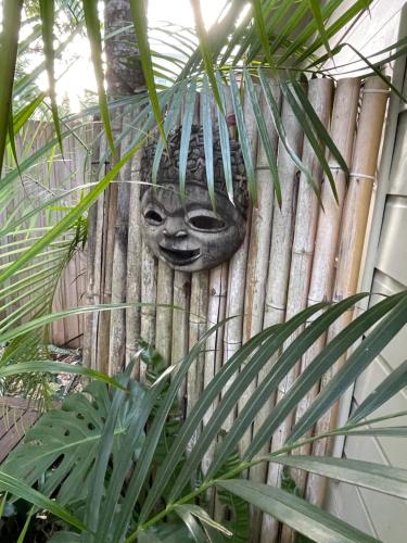 a mask hanging on the side of a wall at Coral Cove in Narrabeen