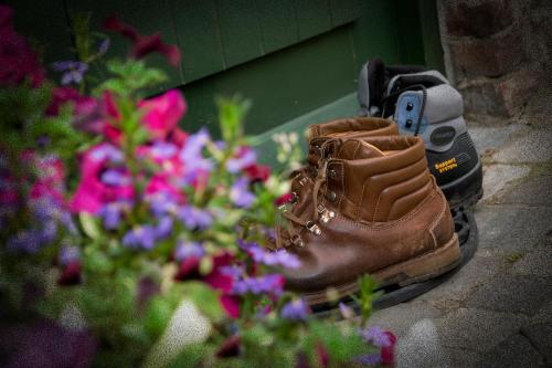 a baseball glove sitting next to some flowers at Hotel De Oude Brouwerij in Mechelen