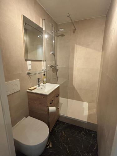 a bathroom with a toilet and a sink and a shower at Duin 10 in Katwijk aan Zee