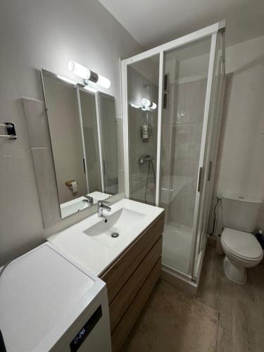 ein Badezimmer mit Waschbecken, Dusche und Toilette in der Unterkunft Appartement au pied des pistes Serre chevalier in La Salle Les Alpes