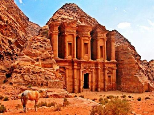 a horse standing in front of a building in the desert at La Mark Hostel in Wadi Musa